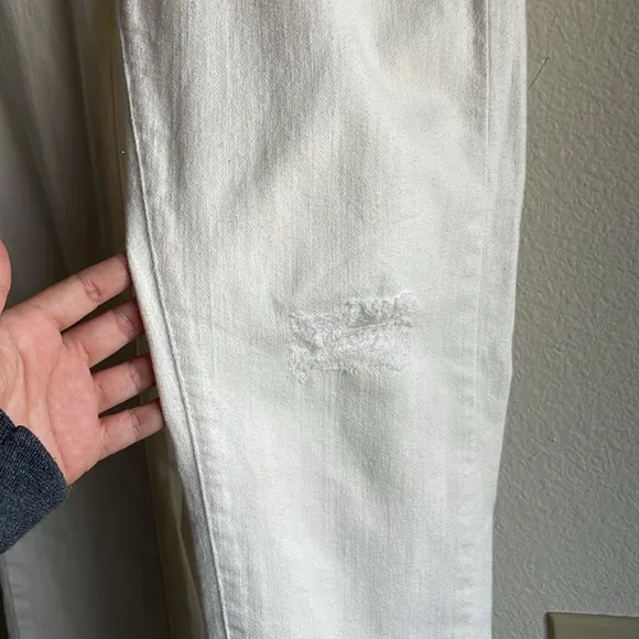 Anthropologie Pilcro and the Letterpress Slim Boyfriend Distressed Jeans 25