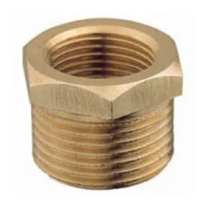 Brass Hex Bush BSP thread