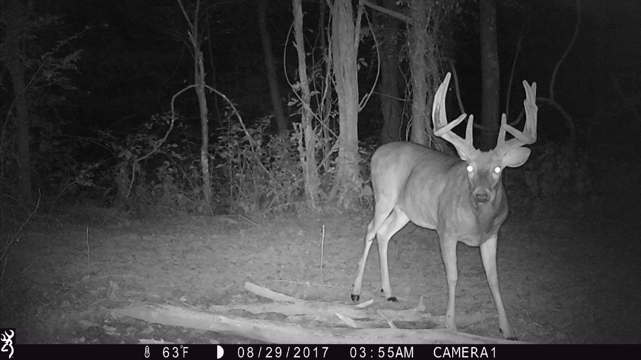 Browning Strike Force Pro X 1080 Trail Camera
