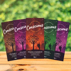 Conscious Chocolate Summer Bar Bundle