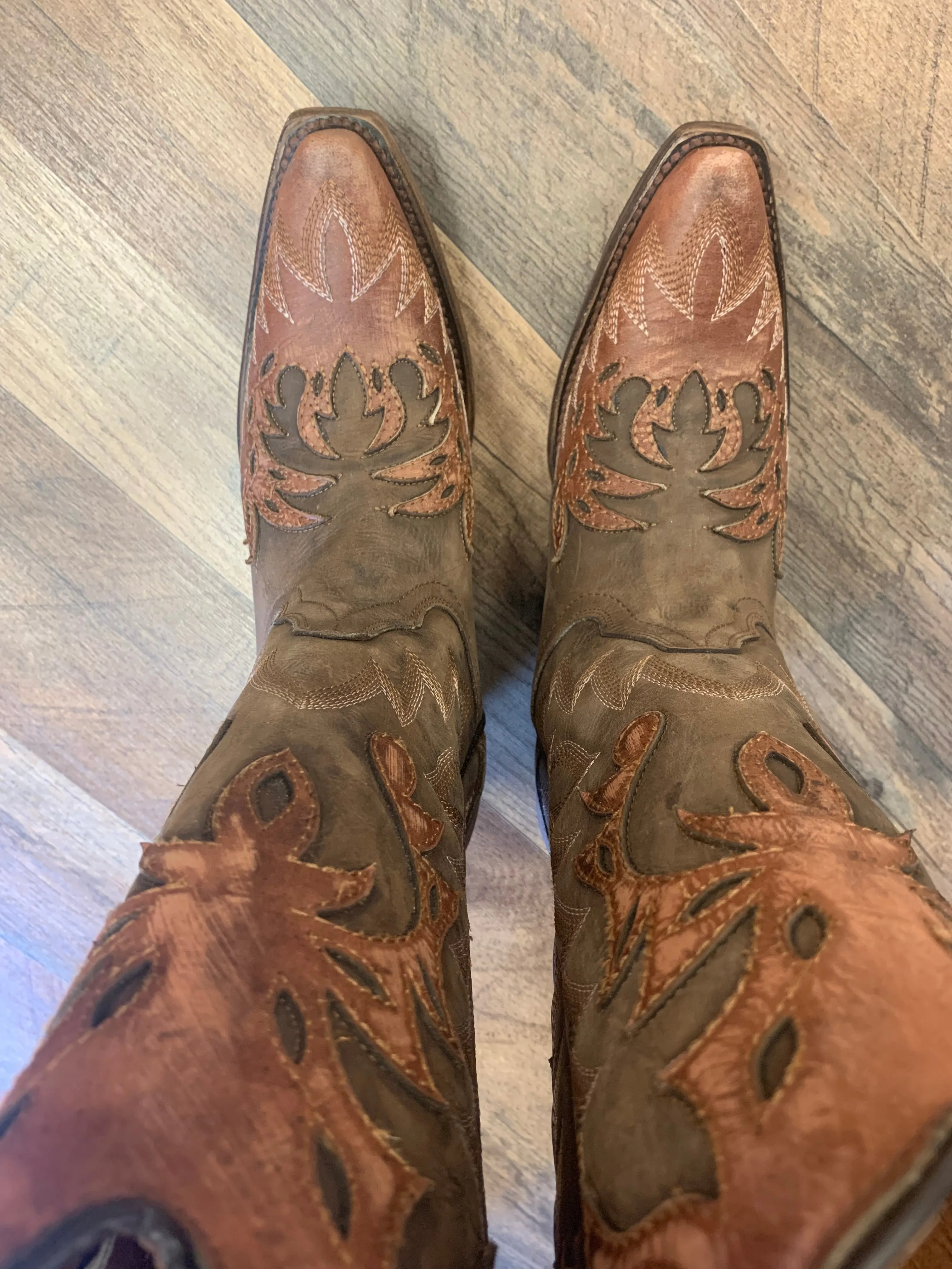 Corral Ladies Chocolate Overlay Embroidery Wing Snip Toe Boot