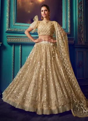 Dusky beige Indo Western Lehenga Choli