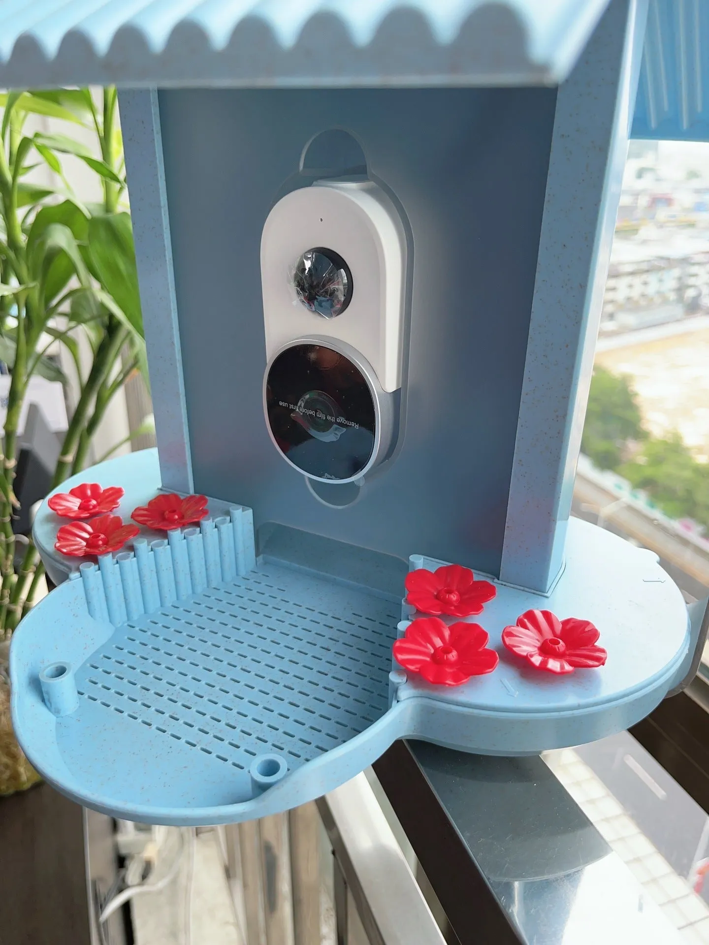 Intelligent Wide Angle Birds Feeder