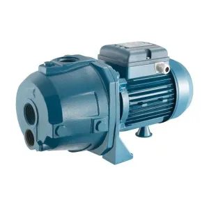 Pentax Centrifugal Water Pump 2HP - AP200-4/01