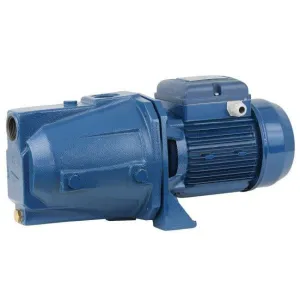 Pentax Self Priming Centrifugal Pump 1HP - CAM100N/00