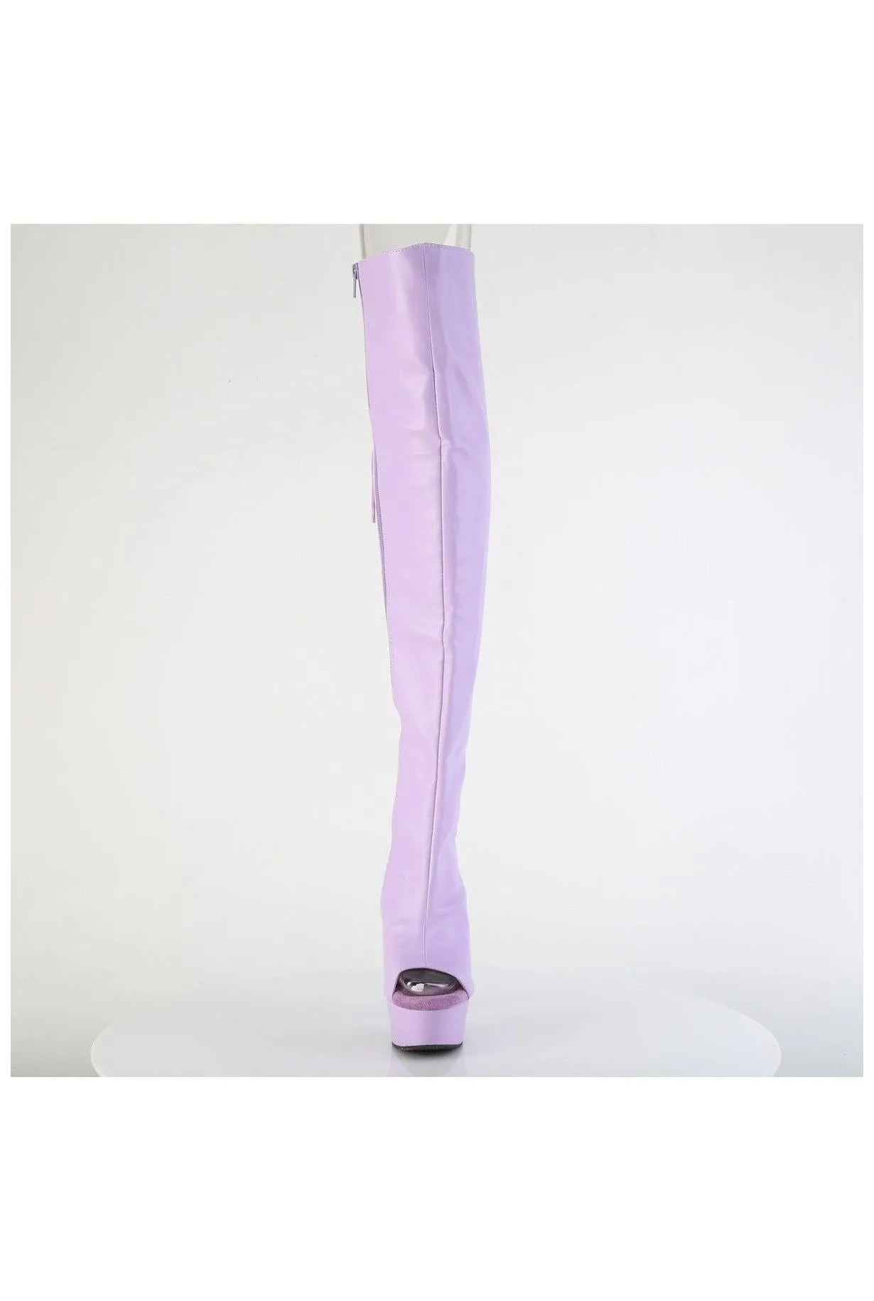 Pleaser DELIGHT-3019 Thigh Boot