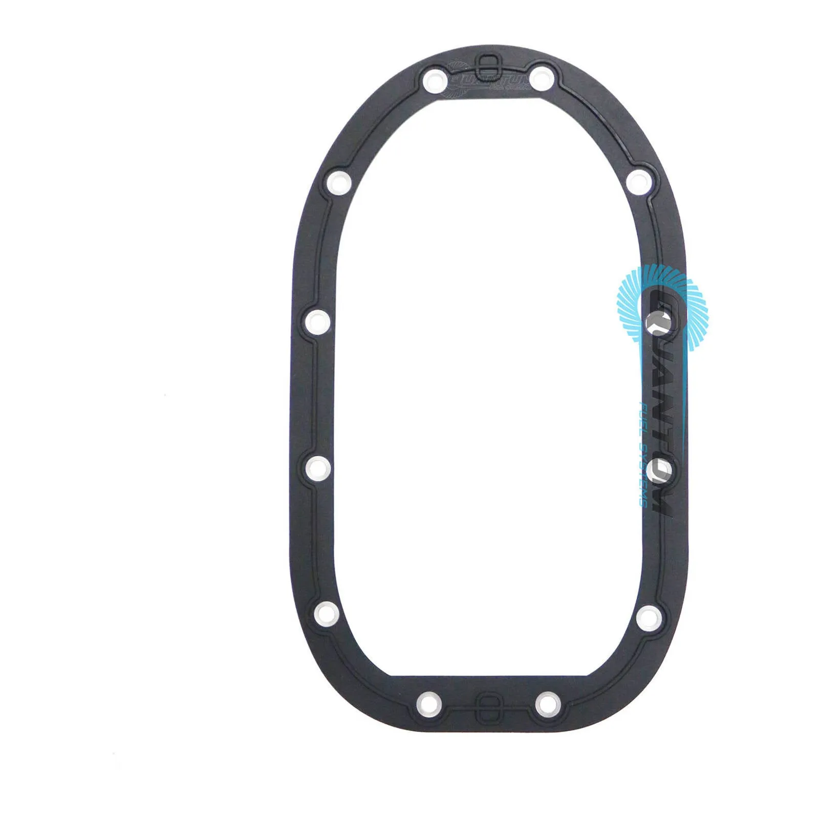 Quantum Fuel Pump Seal Gasket