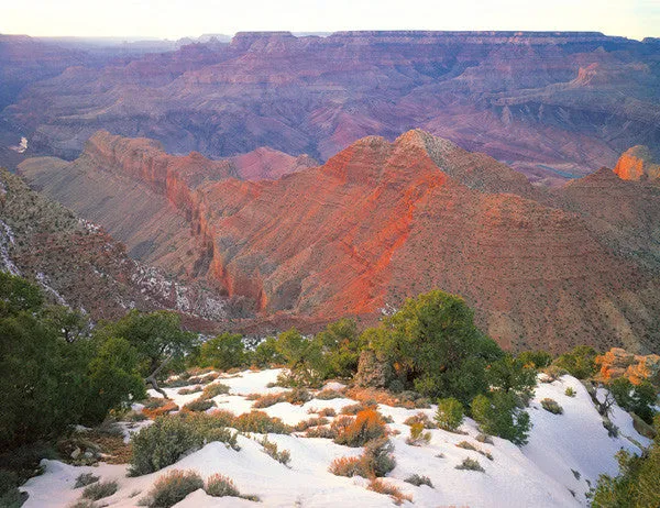 South Rim Spectacle