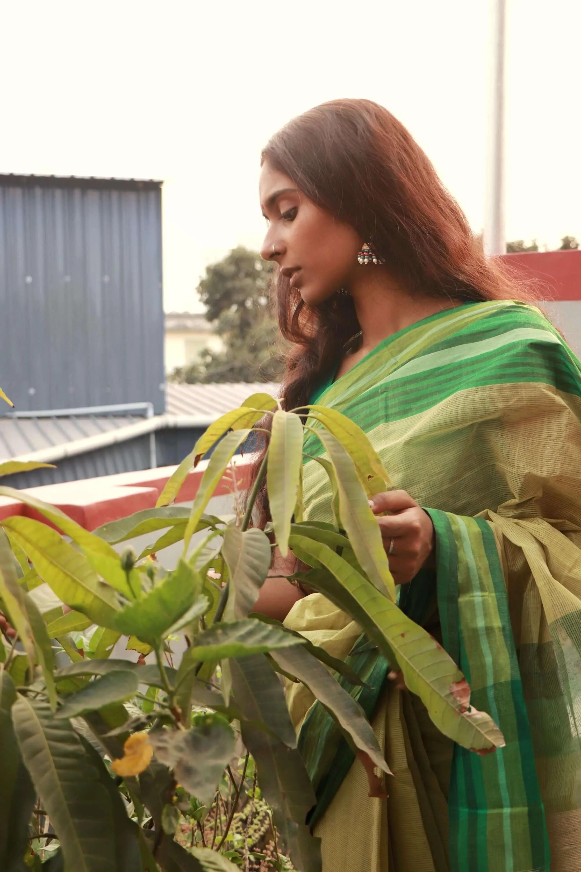 Summer collection sarees - Basant - Shefali Bengal mul cotton saree