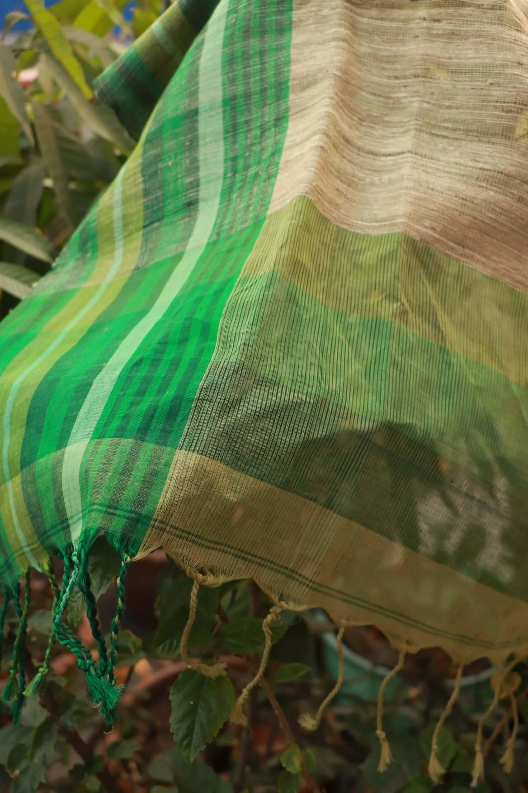 Summer collection sarees - Basant - Shefali Bengal mul cotton saree