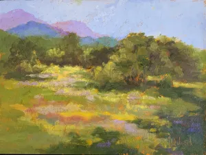 Summer Morning