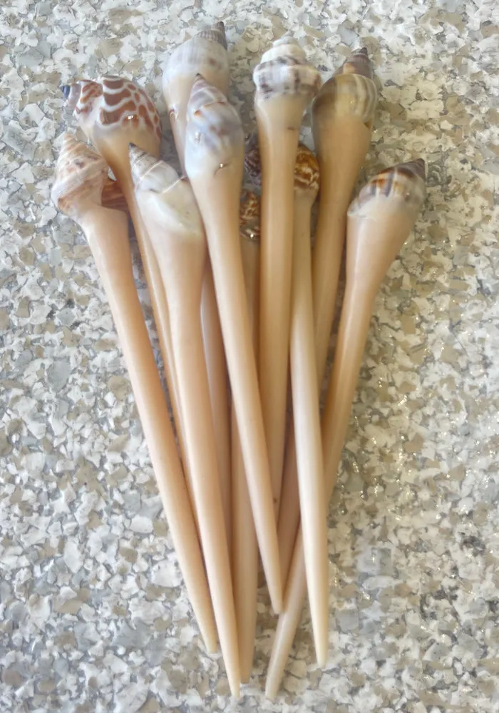 Summer Shell Hair Pin