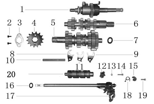 Trail 125 Transmission