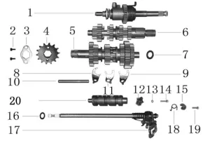 Trail 125 Transmission